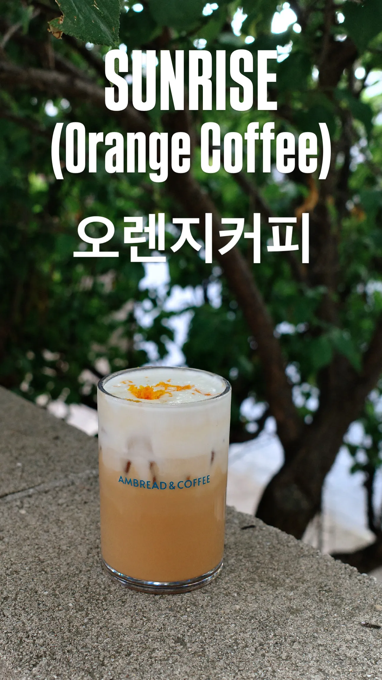 썬라이즈(오렌지 커피)
